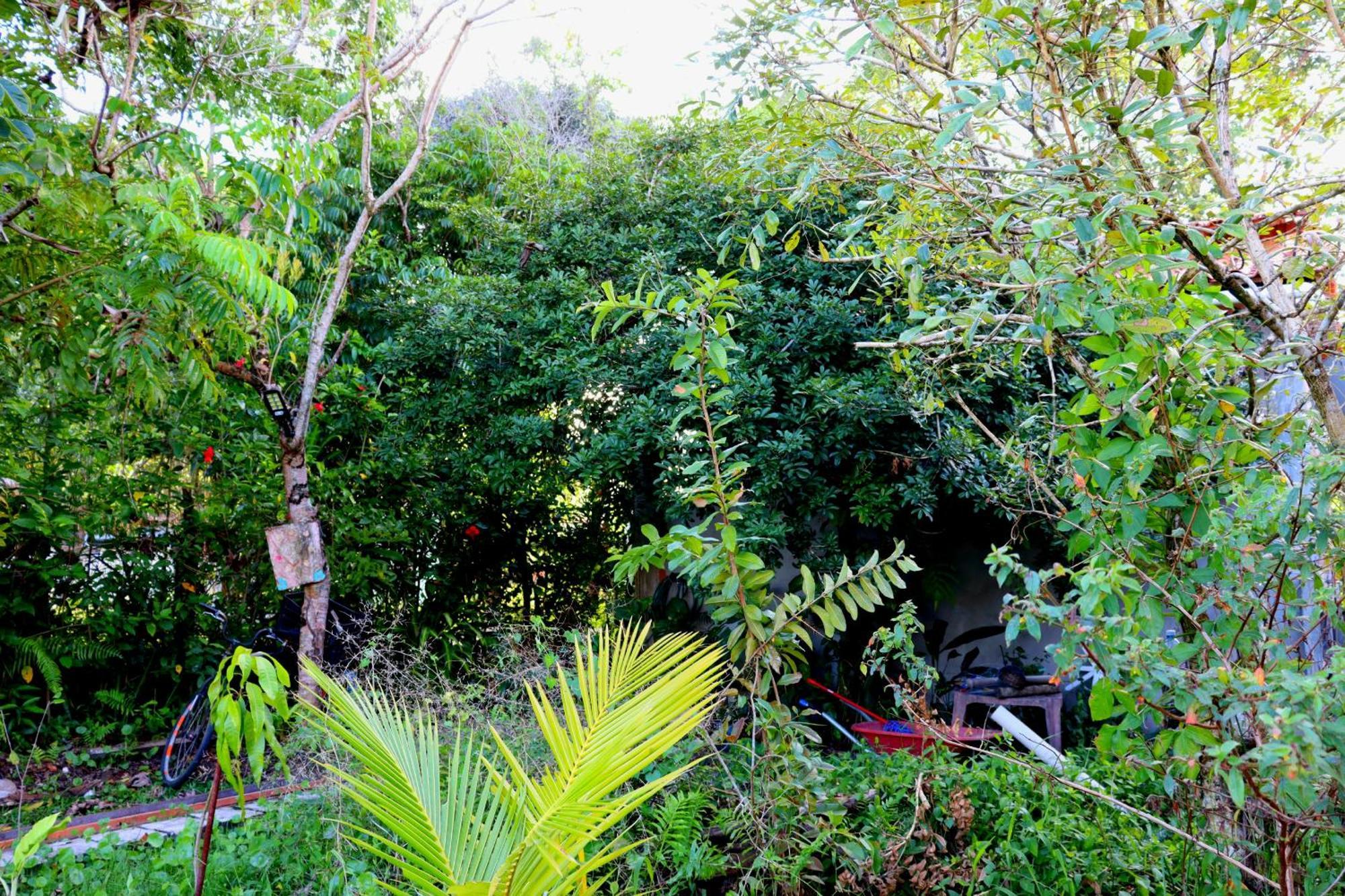 Casinha Do Pedro - I Boipeba Holiday home *